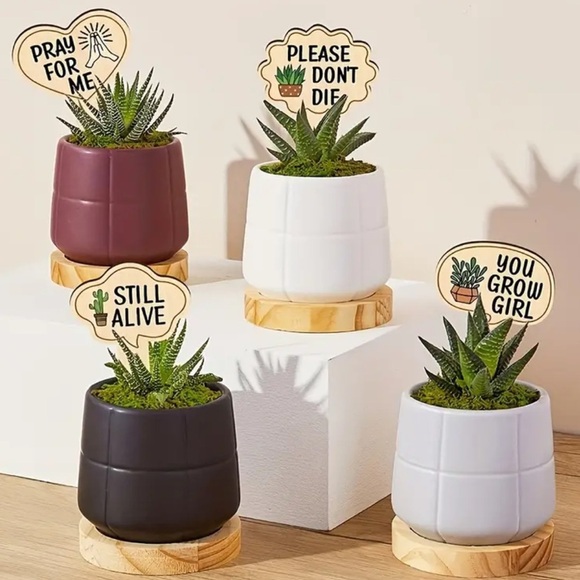 Surprise Pack: 3 Hilarious Garden Stakes for Plant Labels- NWT - Picture 6 of 13